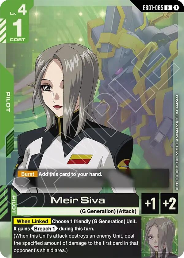 Meir Siva (EB01-065) (EB01)