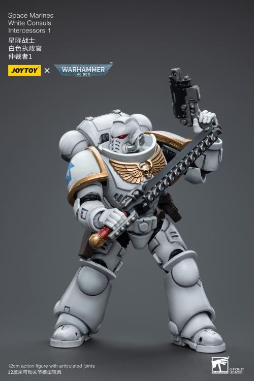 JoyToy - Warhammer 40000 - Space Marines White Consuls: Intercessor 1