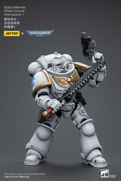 JoyToy - Warhammer 40000 - Space Marines White Consuls: Intercessor 1