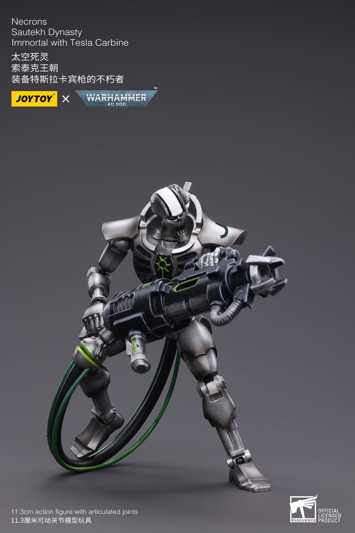 JoyToy - Warhammer 40000 -  Necrons Sautekh Dynasty Immortal with Tesla Carbine