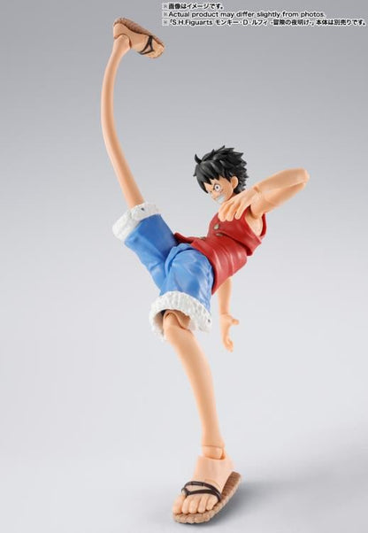 S.H.Figuarts - MONKEY.D.LUFFY -ROMANCE DAWN- Gum-Gum Option Parts Set
