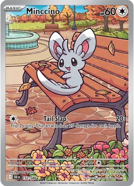 Minccino (152/086) (BLK)