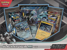 Image for Black Kyurem ex Box - Pokemon