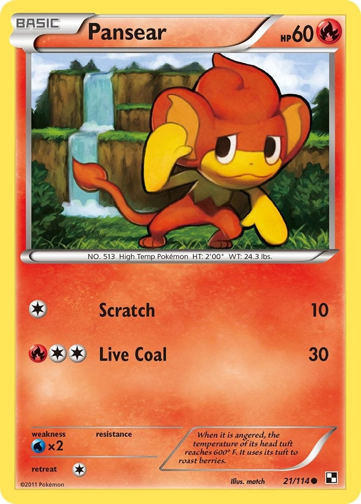 Image for Pansear (21/114) (BLW) - Pokemon