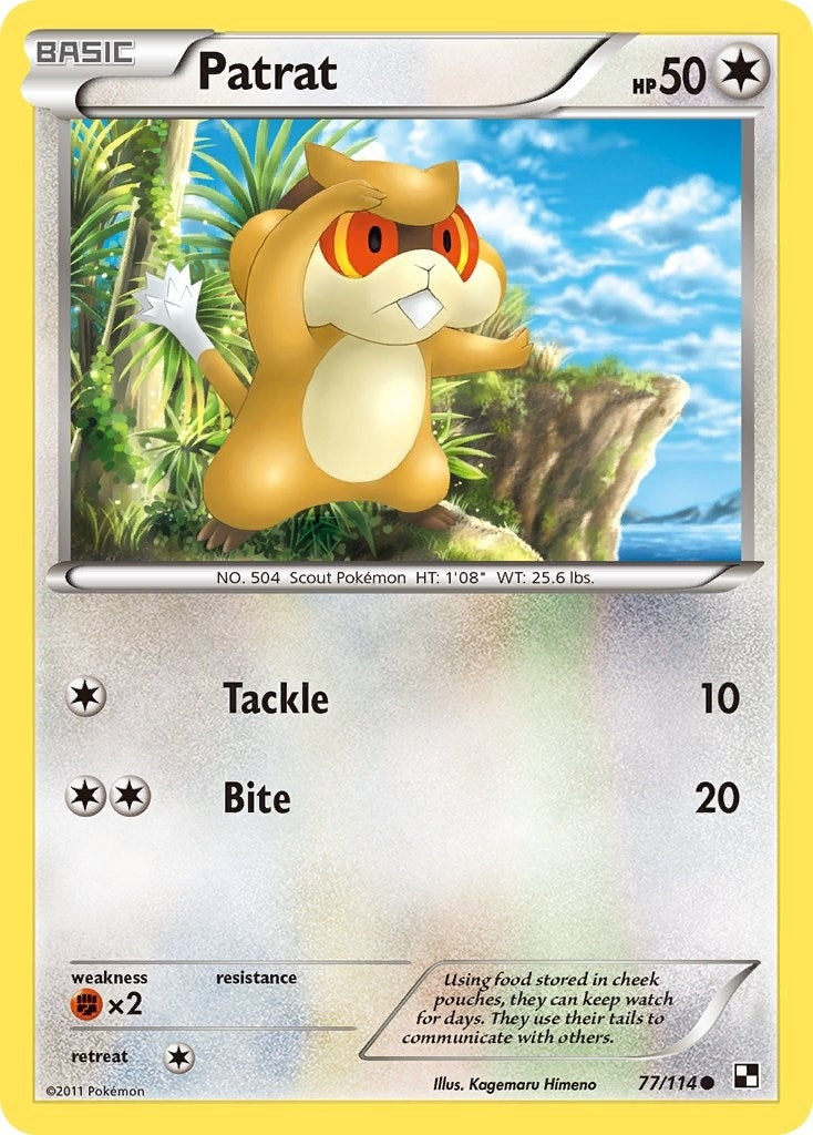 Image for Patrat (77) (77/114) (BLW) - Pokemon