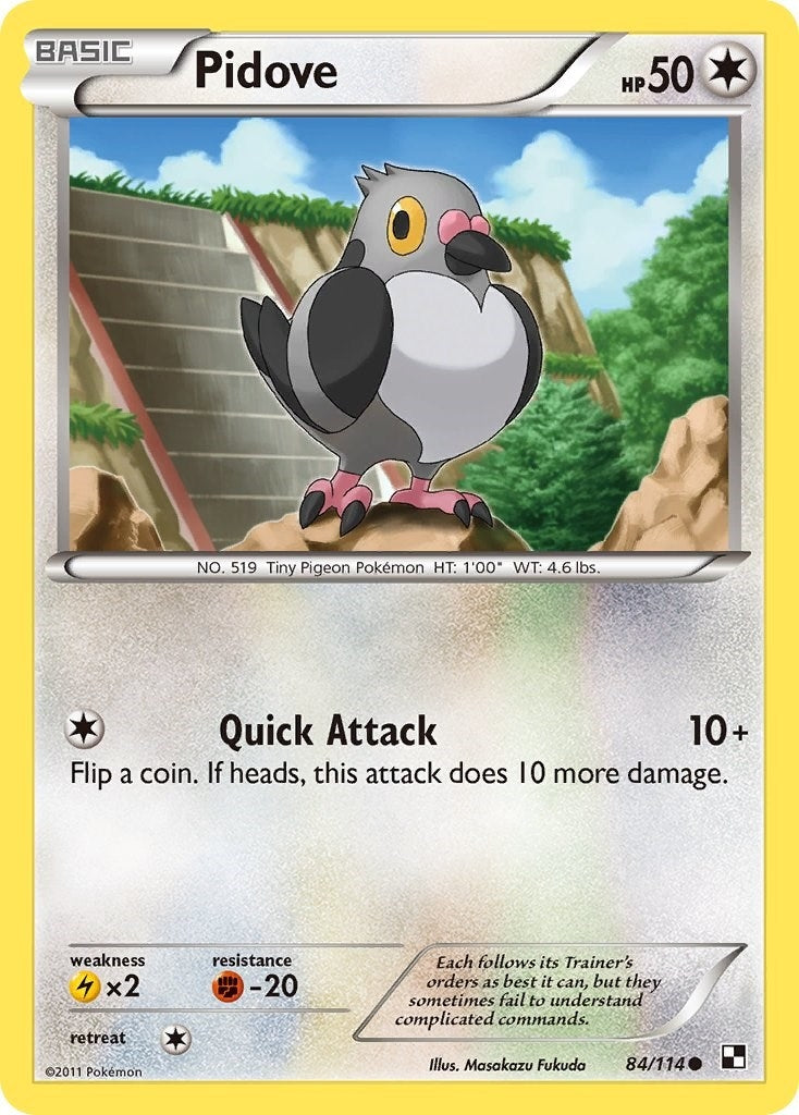 Image for Pidove (84/114) (BLW) - Pokemon