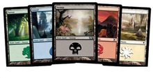10x Forest Basic Land