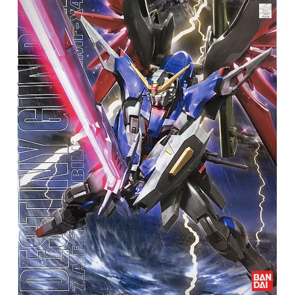 Gunpla - MG 1/100 DESTINY GUNDAM