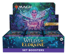Wilds of Eldraine - Set Booster Display